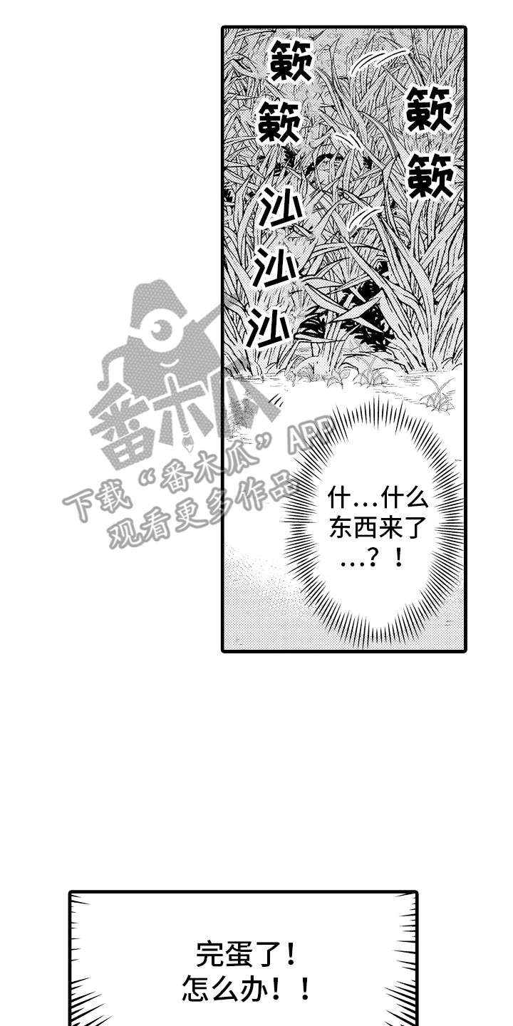 第10章：魔兽1