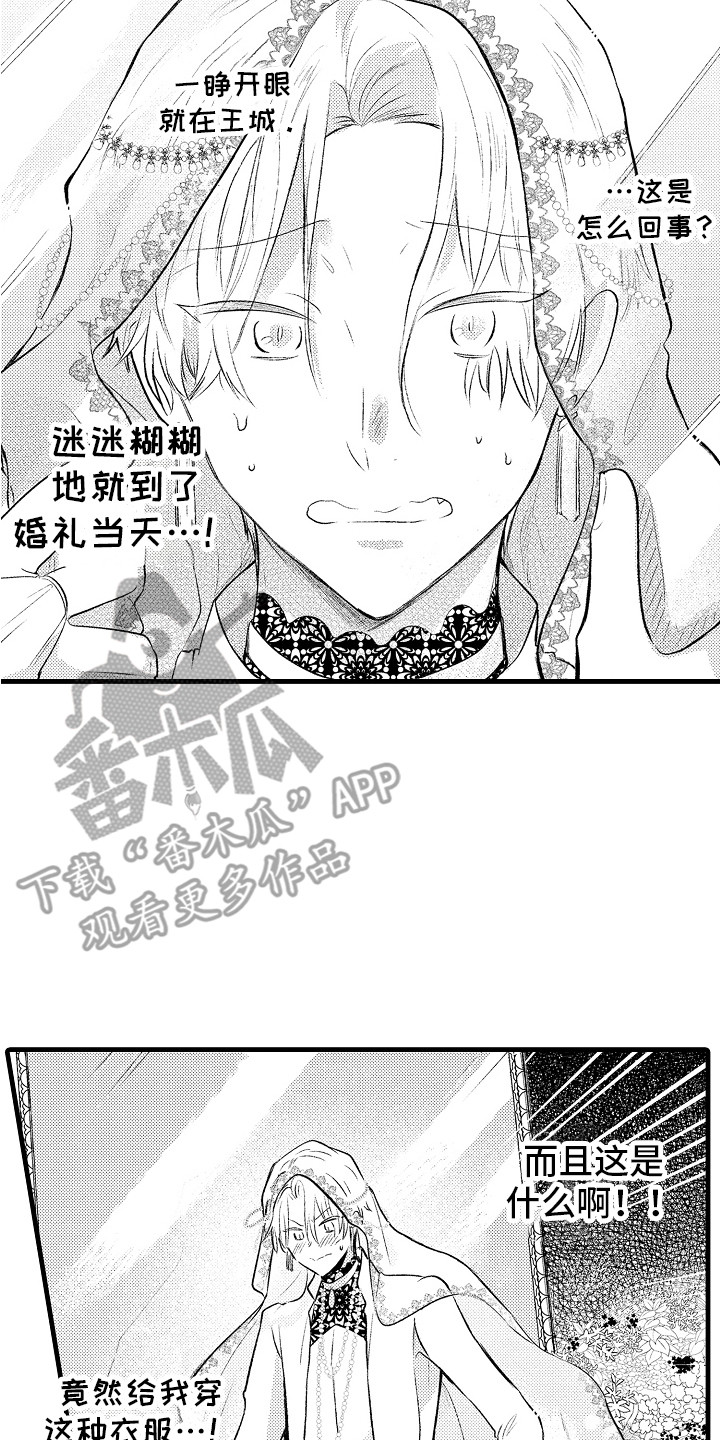 第25章：婚礼当天1
