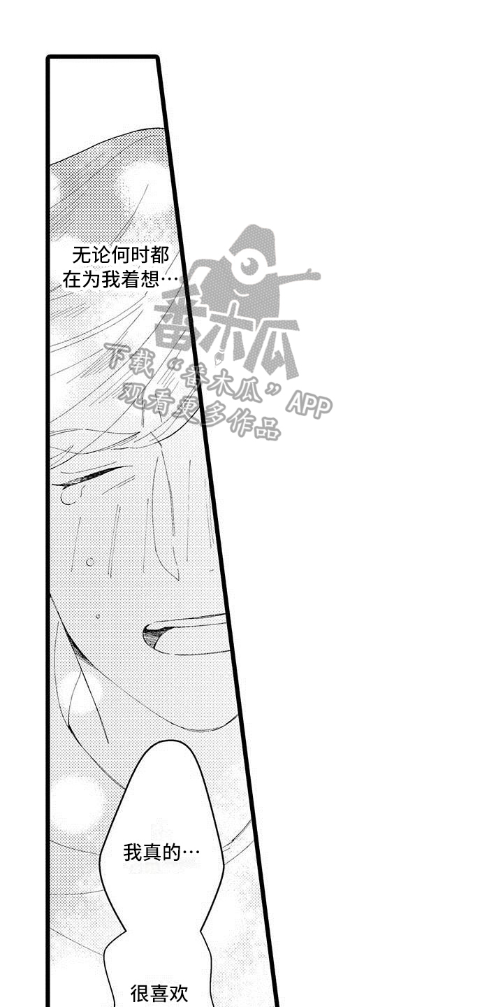第17章：建议0