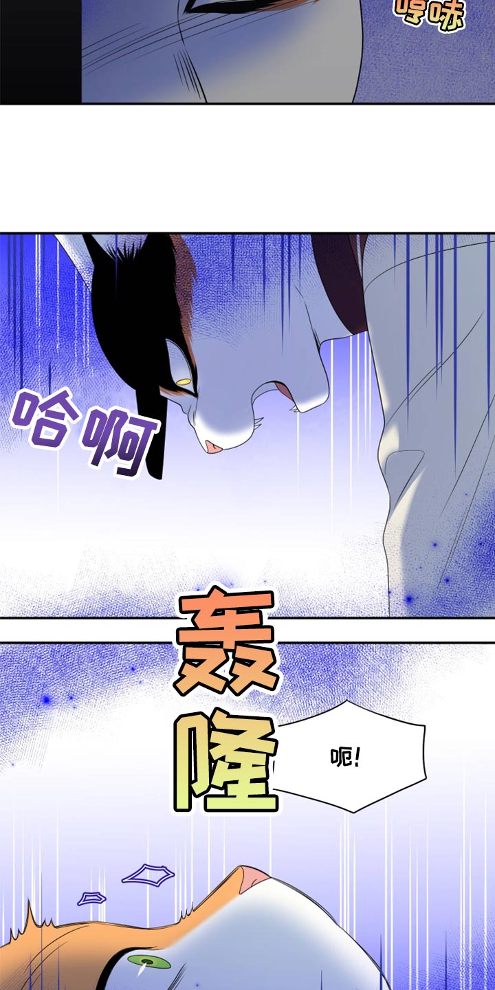 第61章：【第二季】不想伤害他1