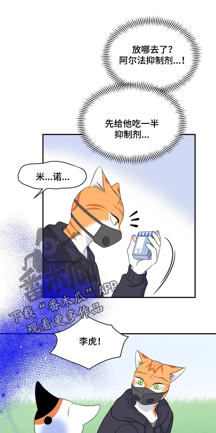 第62章：【第二季】撑过这一次就行0