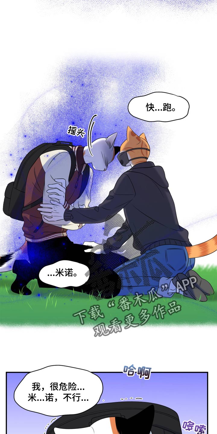 第62章：【第二季】撑过这一次就行2