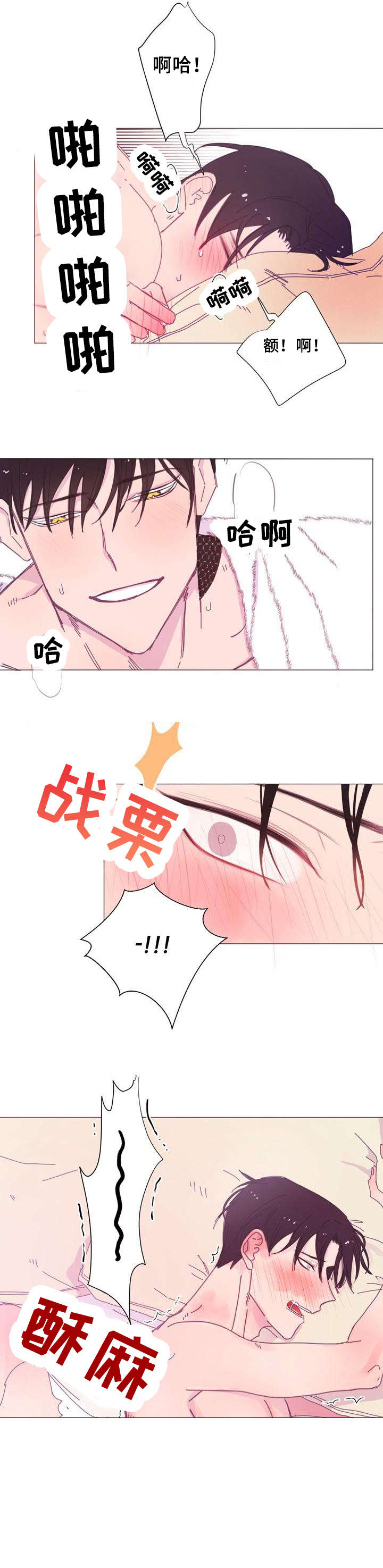 第15章：尽兴4