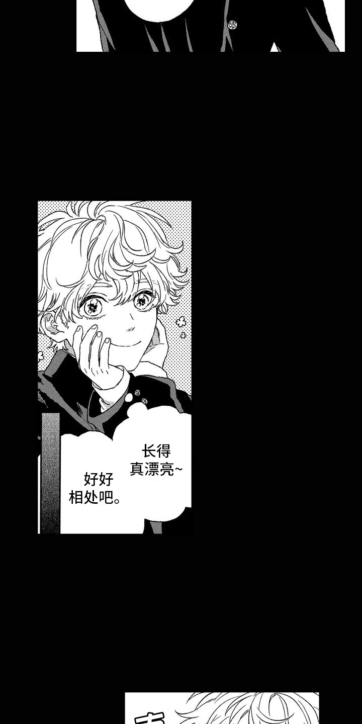 第26章：【番外】回忆1