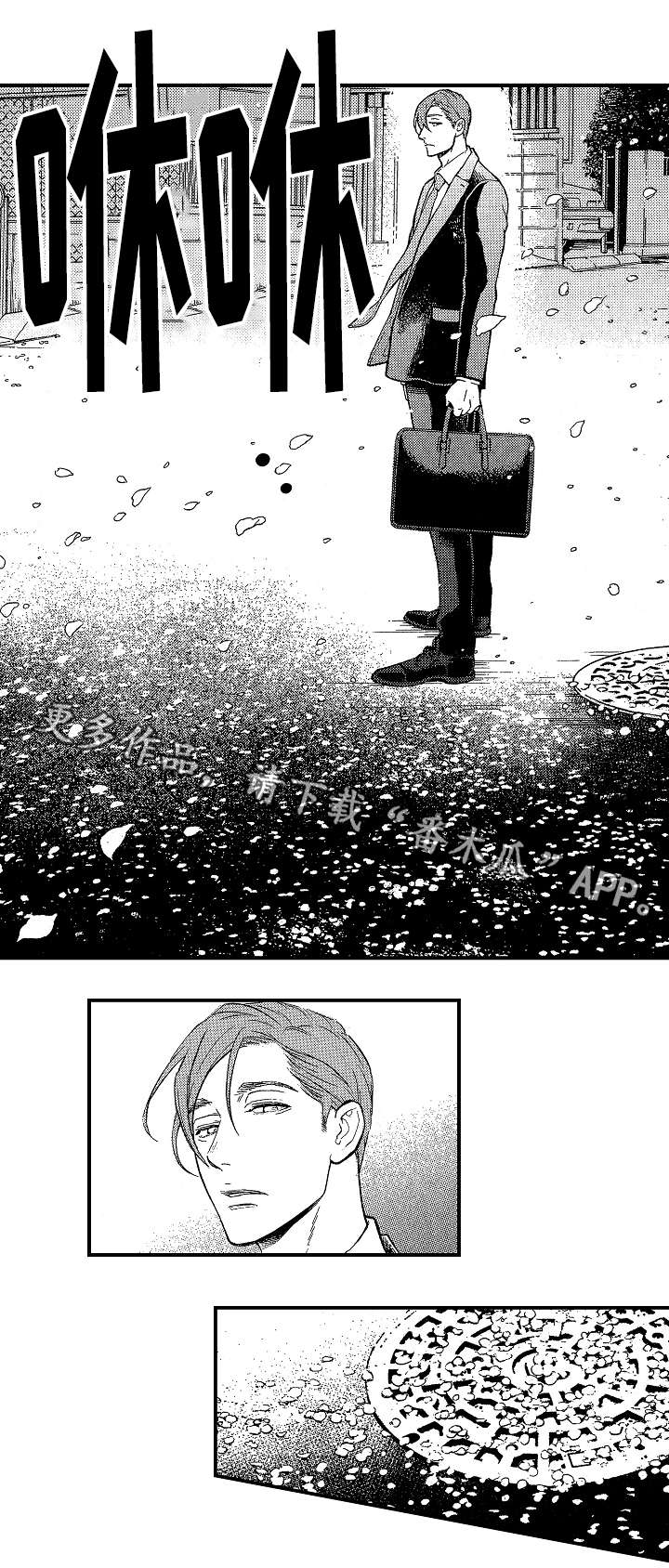 第21章：聊一聊3
