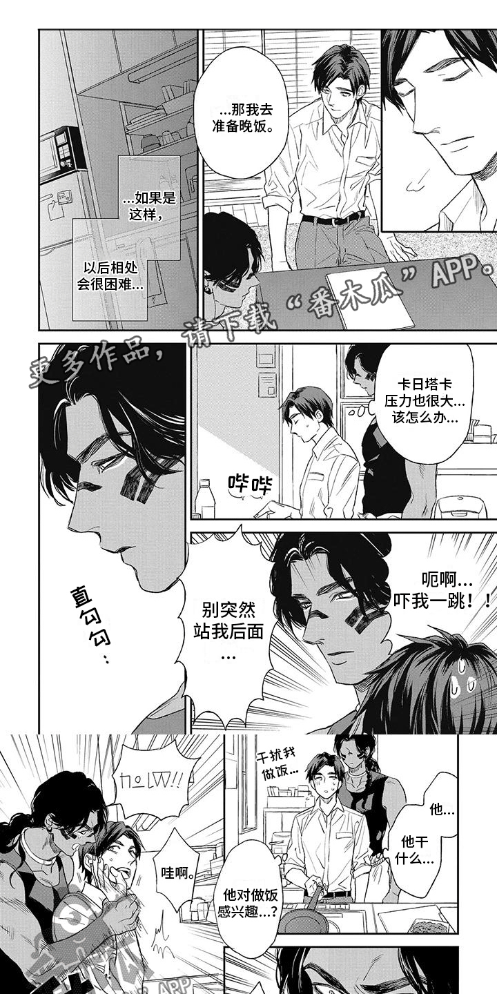 第8章：他的担忧0