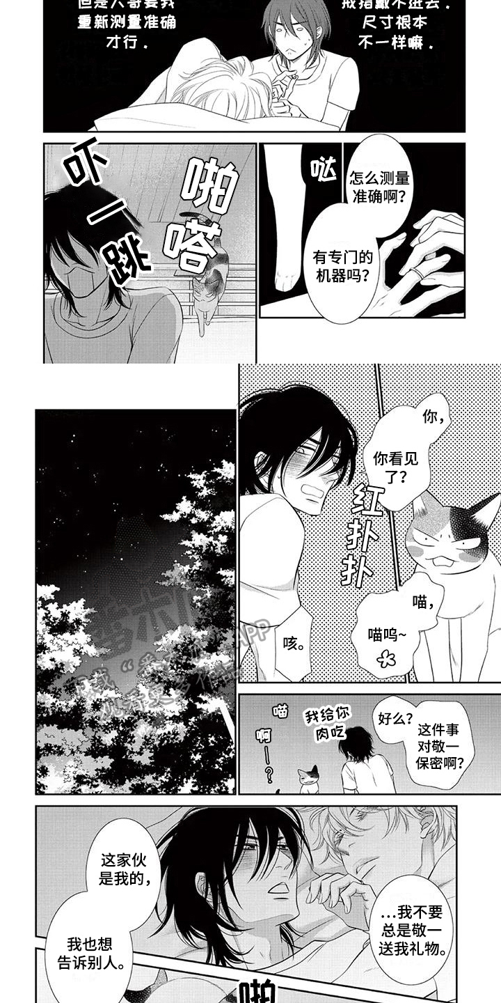 第17章：保密1
