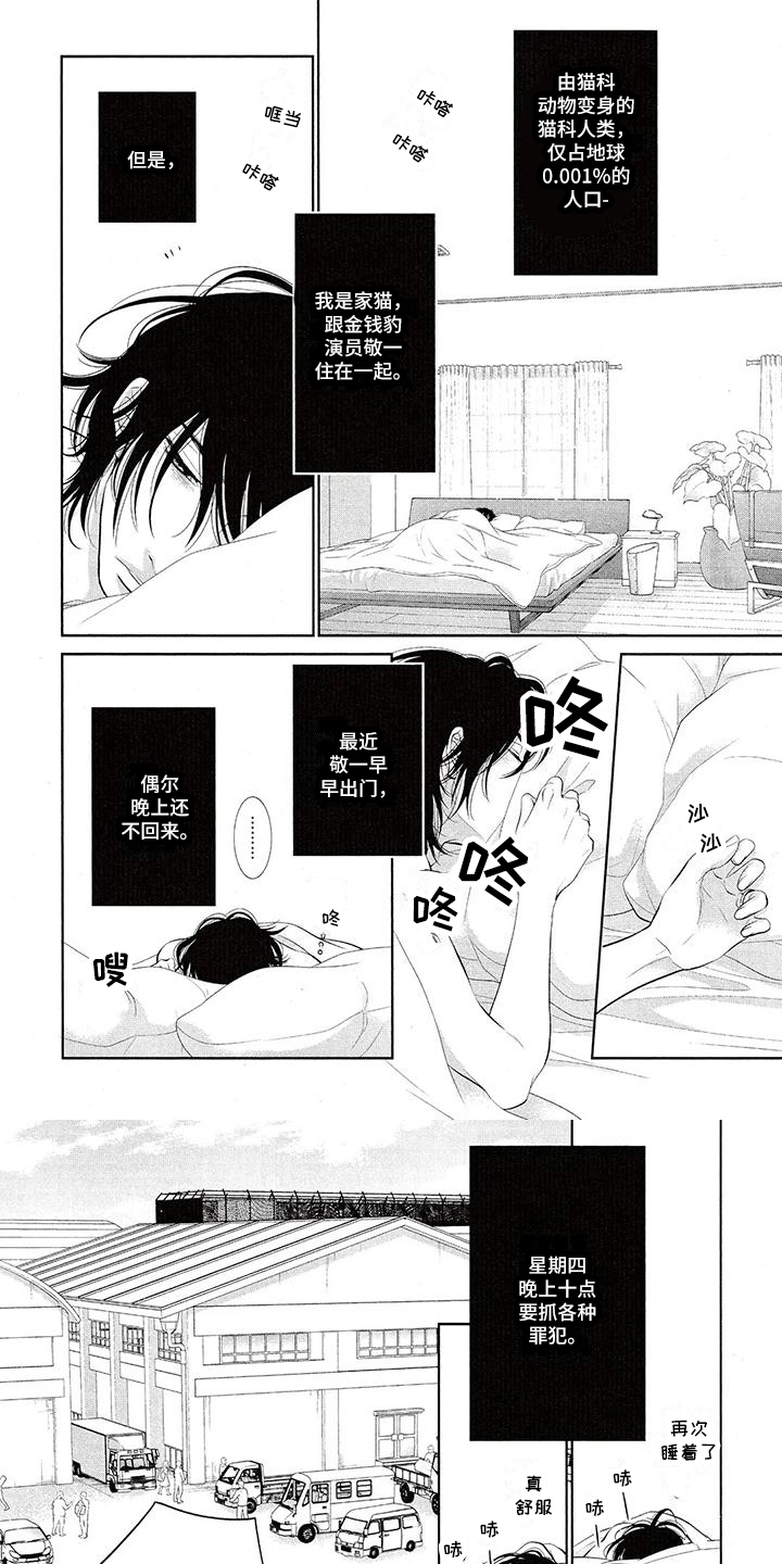 第1章：玩耍0
