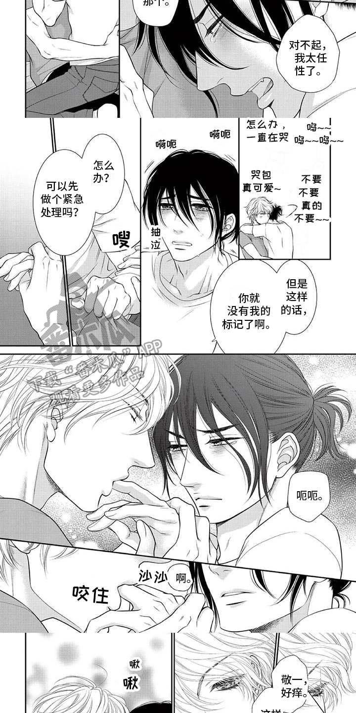 第27章：标记2