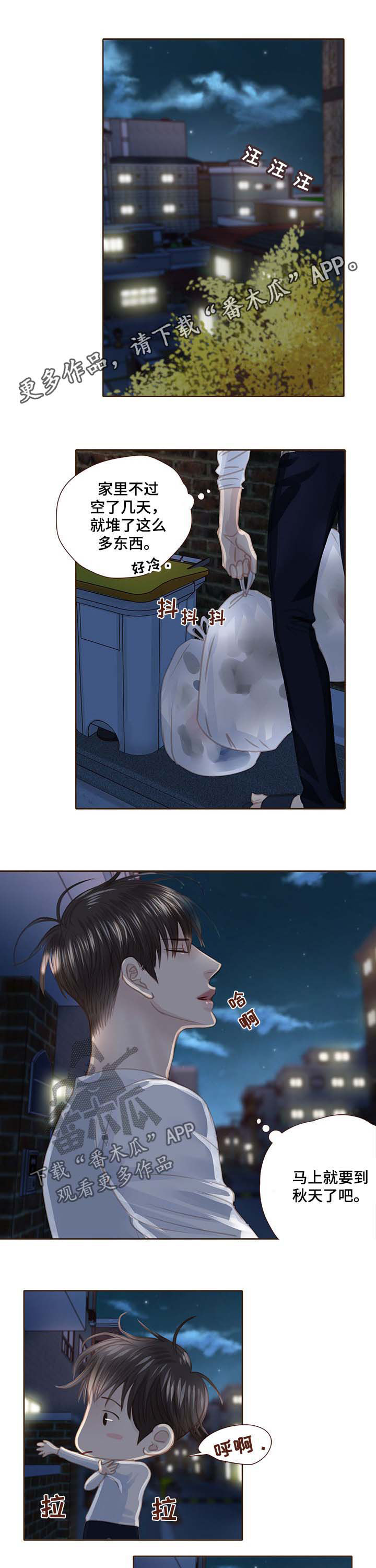 第102章：正面对决0
