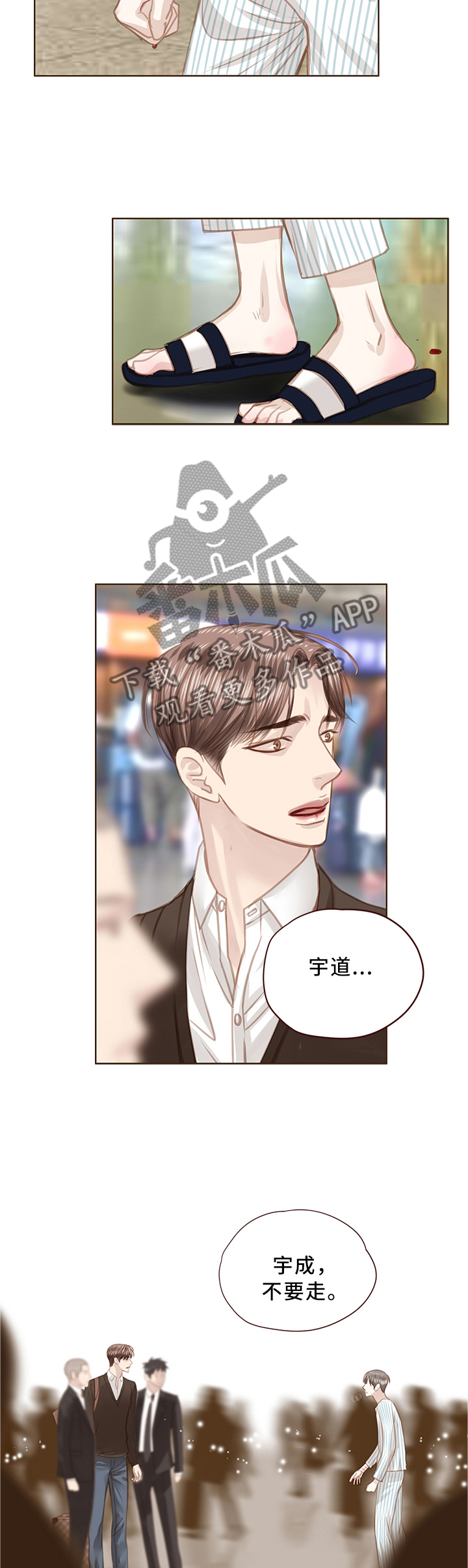 第65章：我们是兄弟1