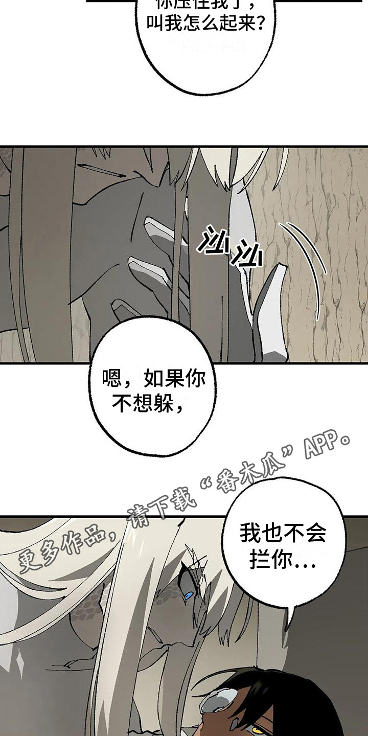 第12章：解释4