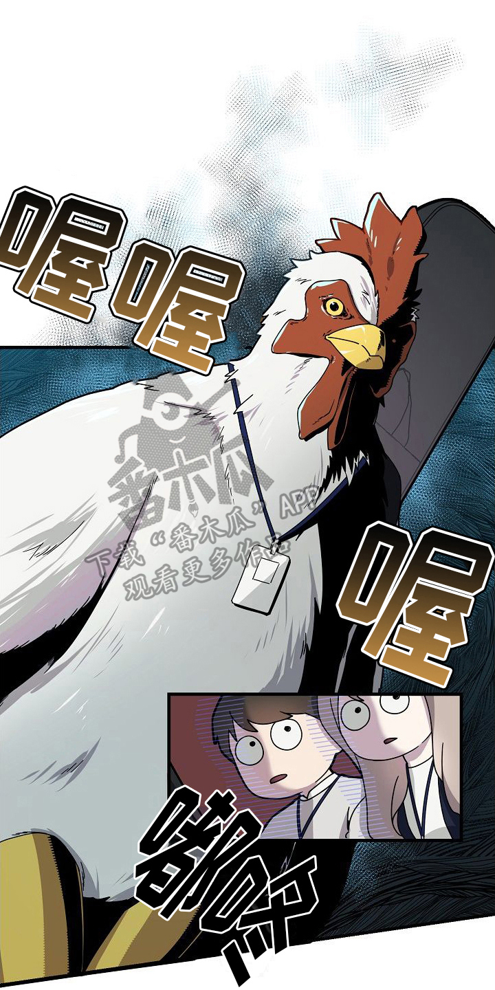 第11章：感受0