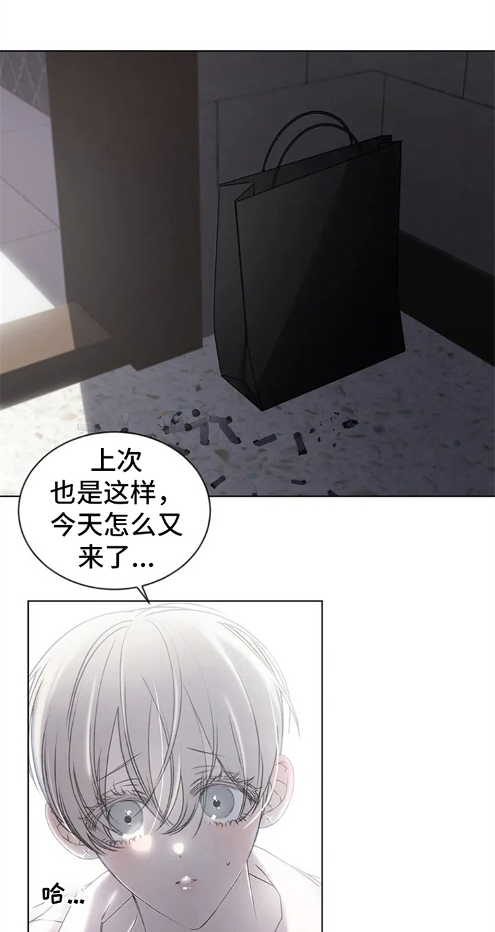 第3章：提议0