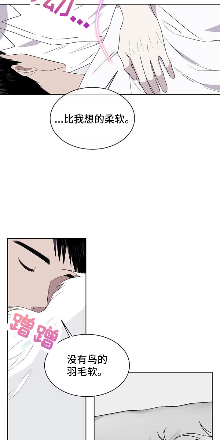 第57章：不能碰羽毛0