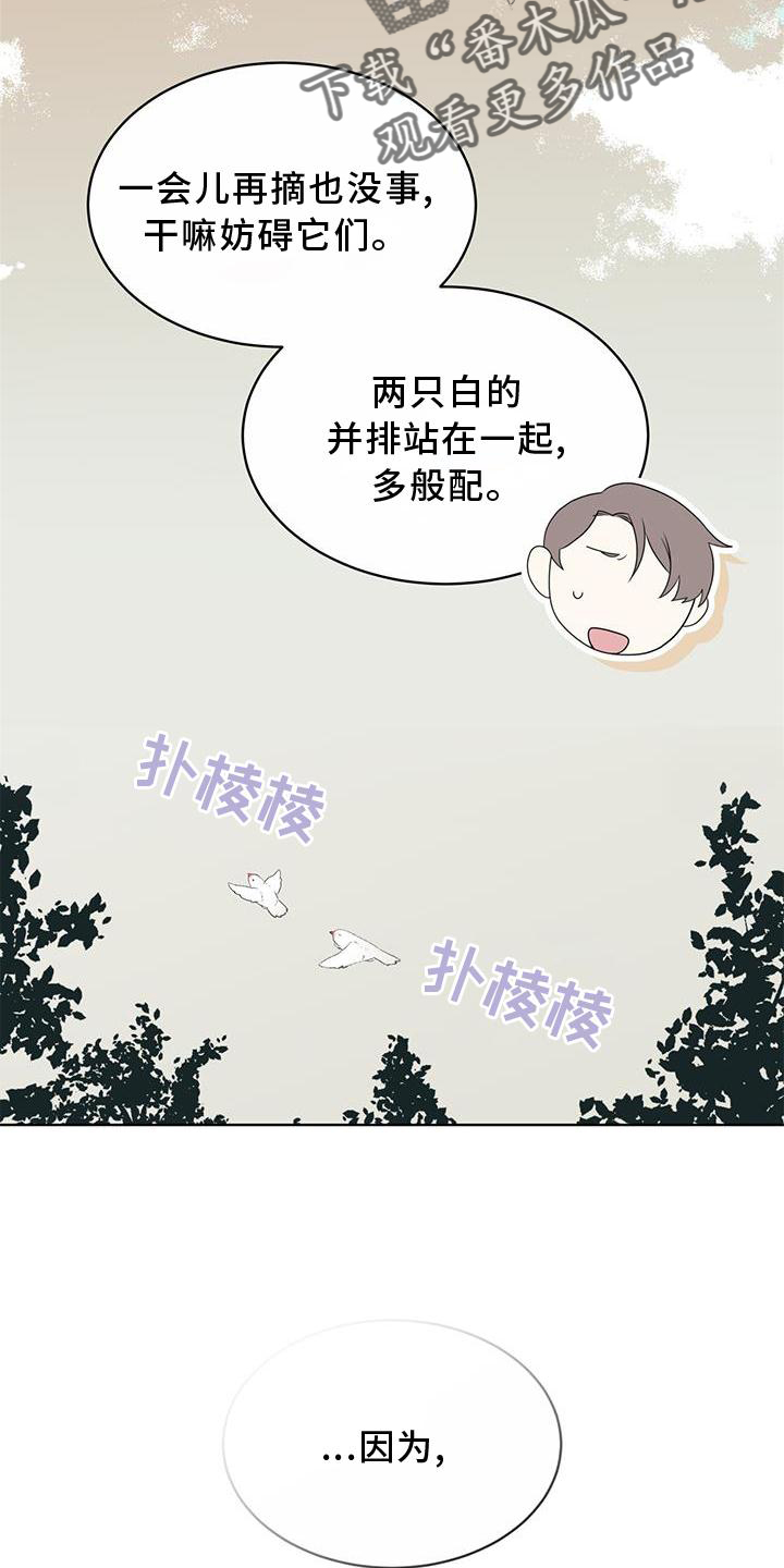 第55章：联想0