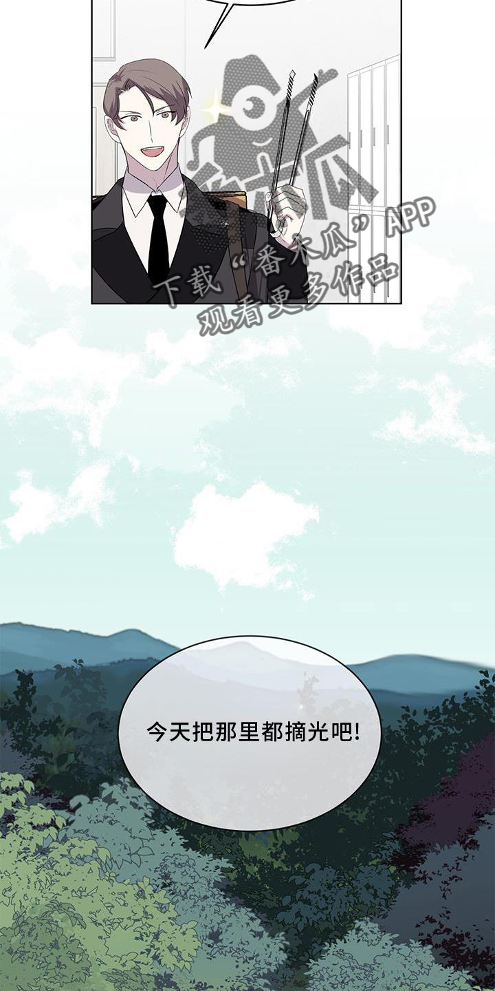第53章：摘水果1