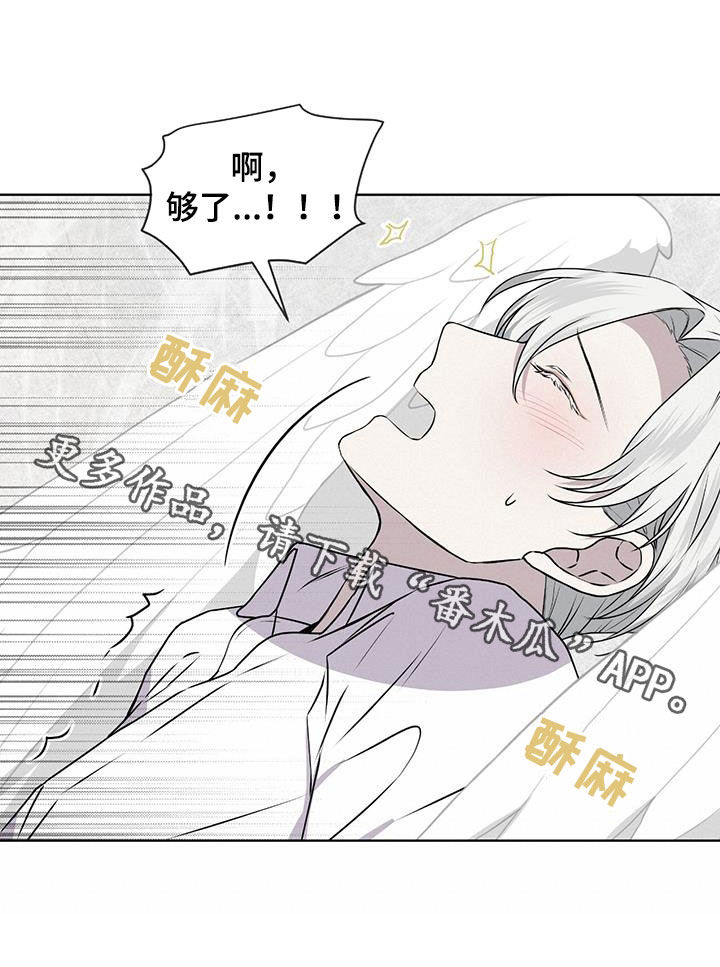 第84章：【第二季】够了0
