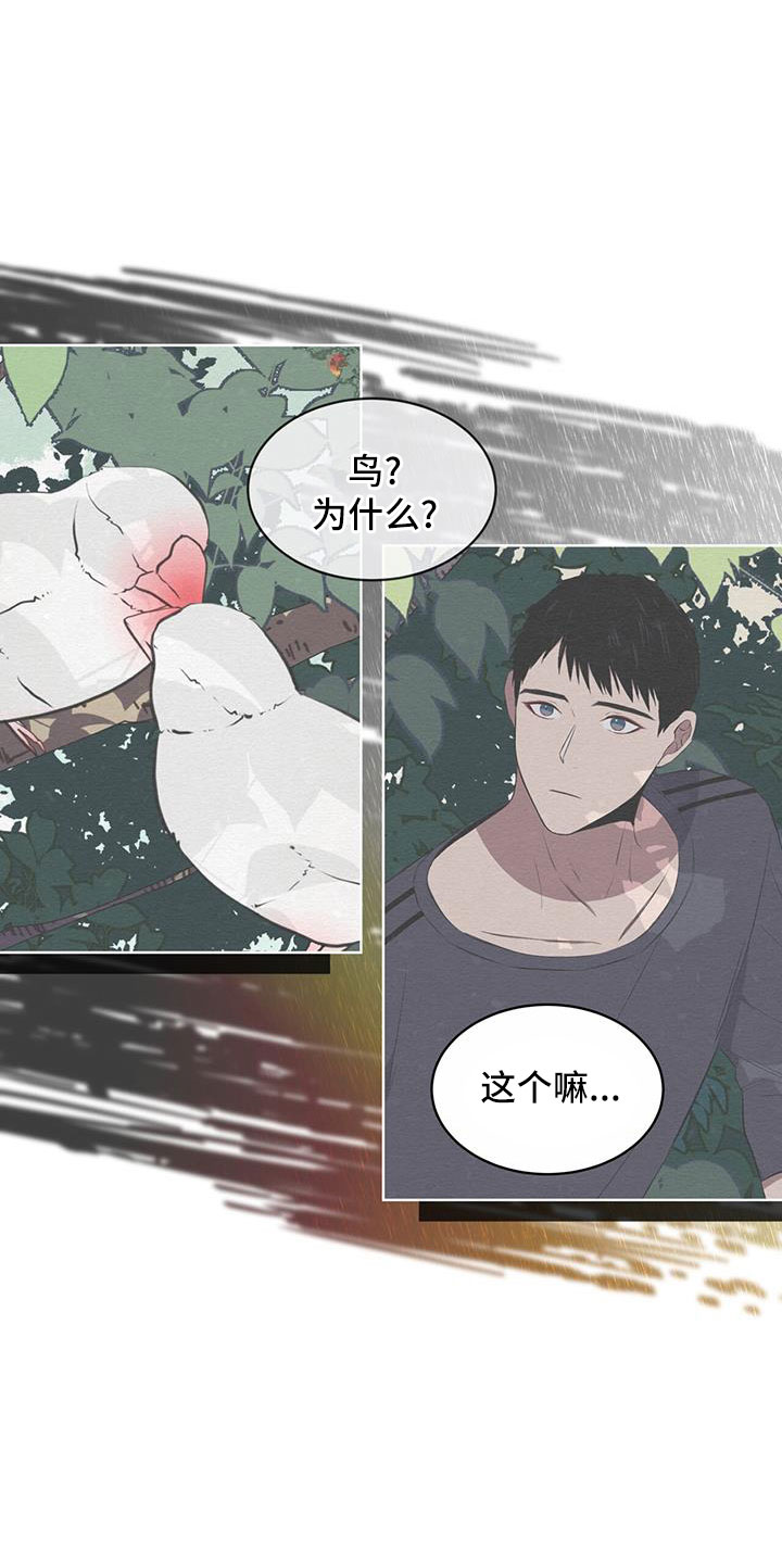 第57章：不能碰羽毛1