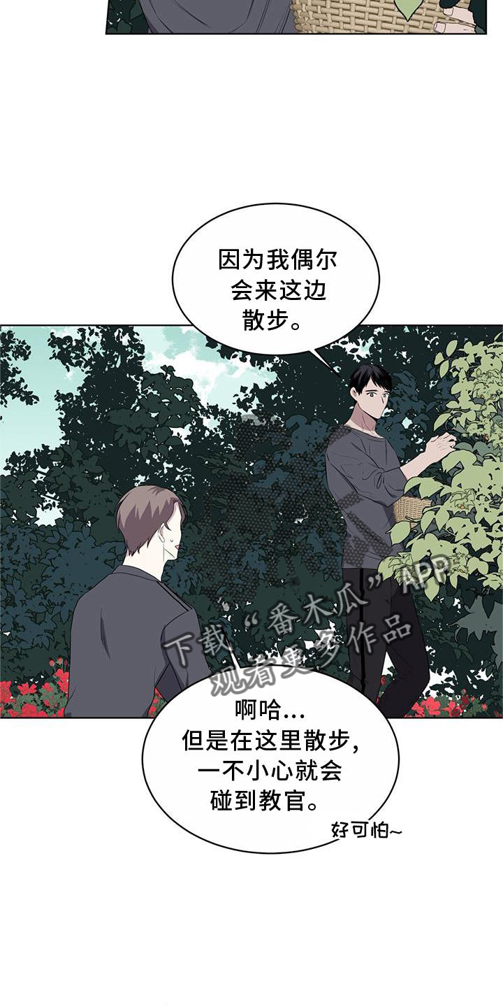 第54章：鸟蛋2