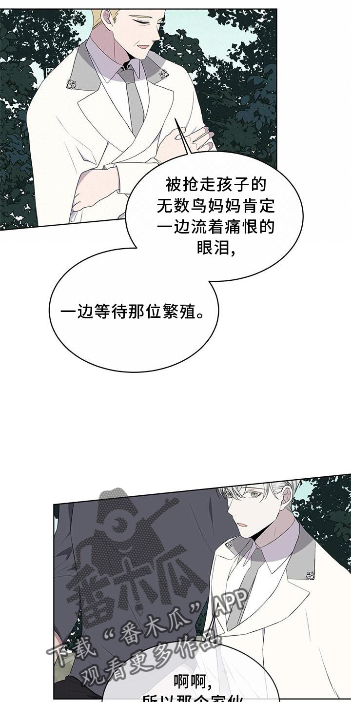 第54章：鸟蛋2