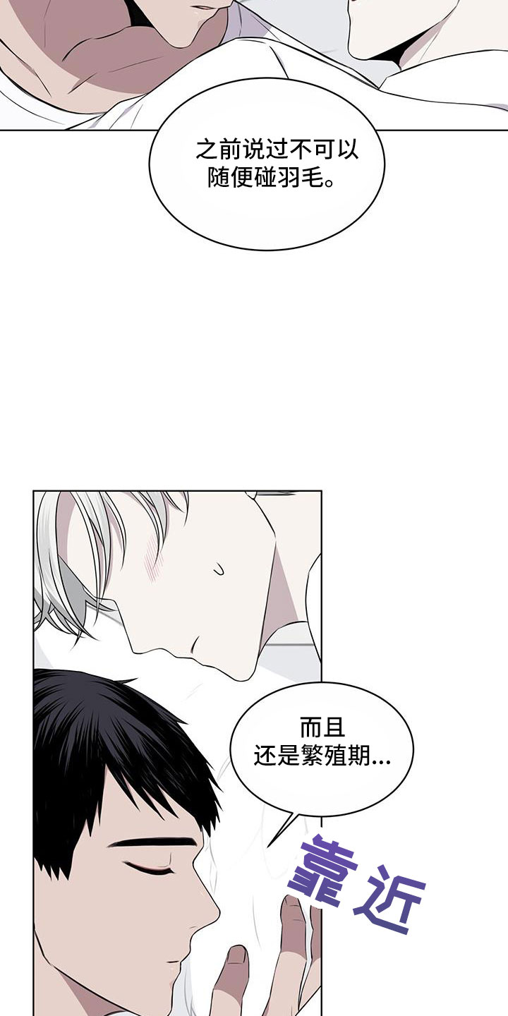 第57章：不能碰羽毛3