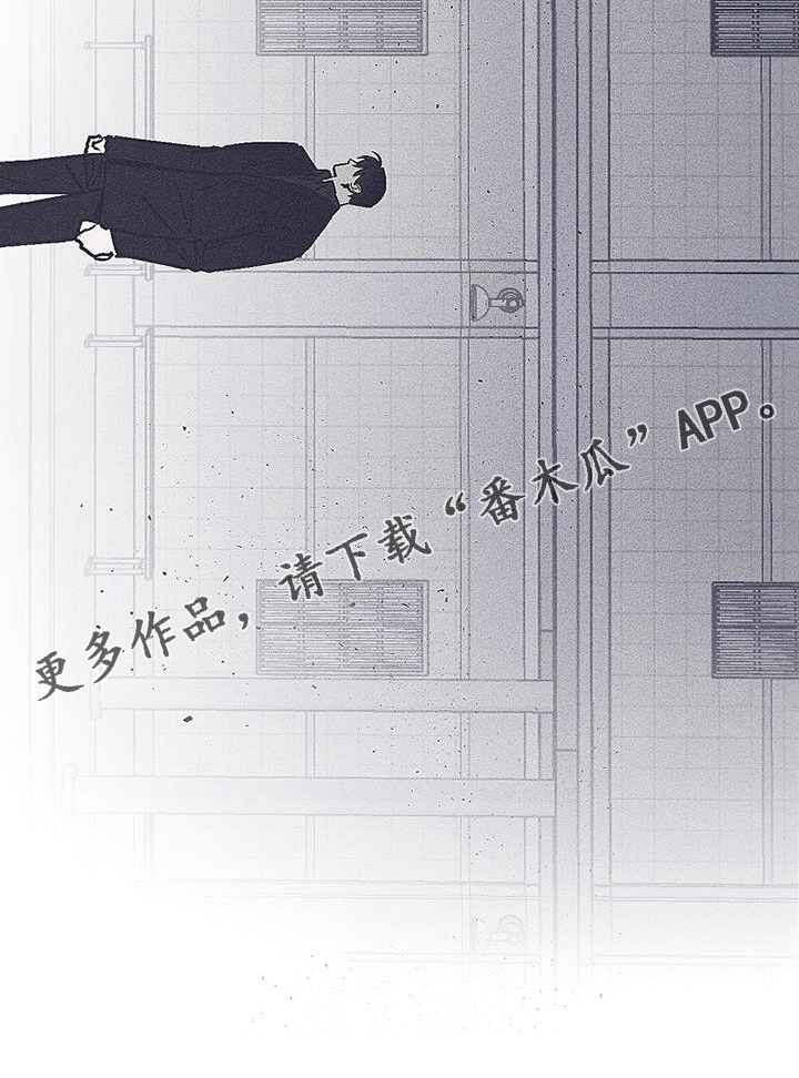 第31章：选择3