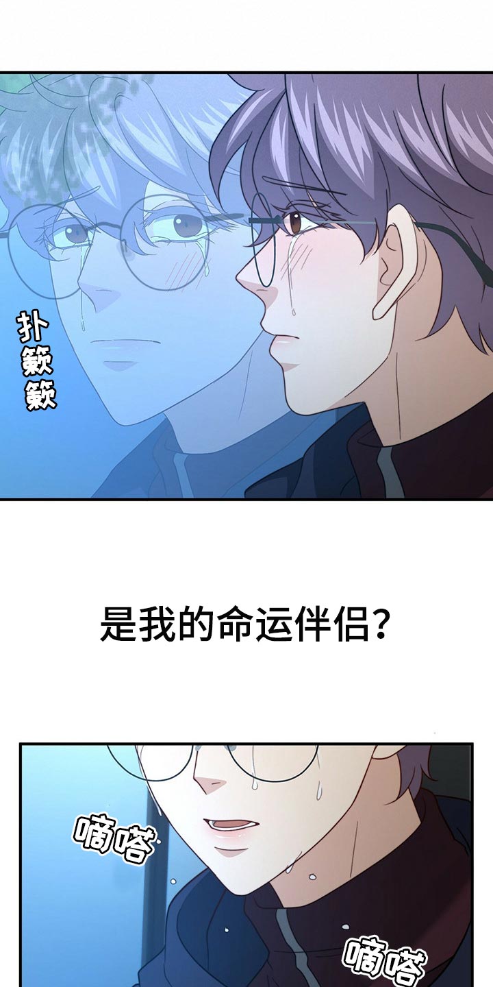 第121章：【第二季】命运的伴侣4