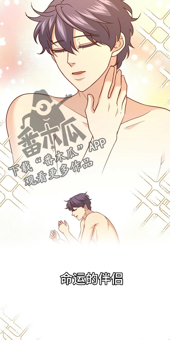 第121章：【第二季】命运的伴侣2