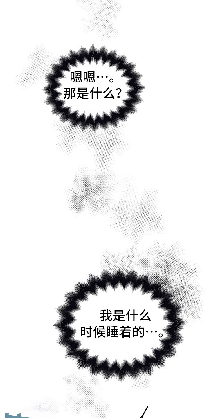 第13章：酒后1