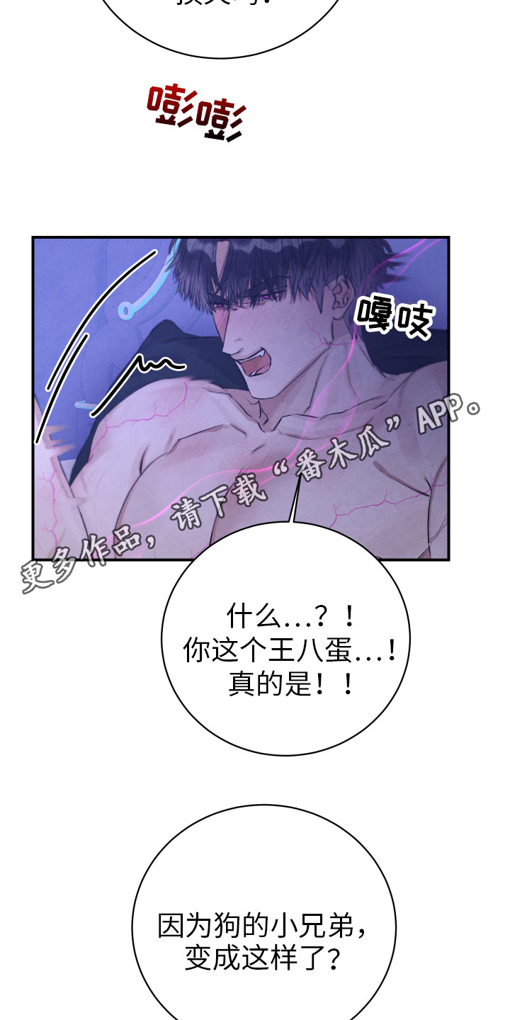 第10章：引导3