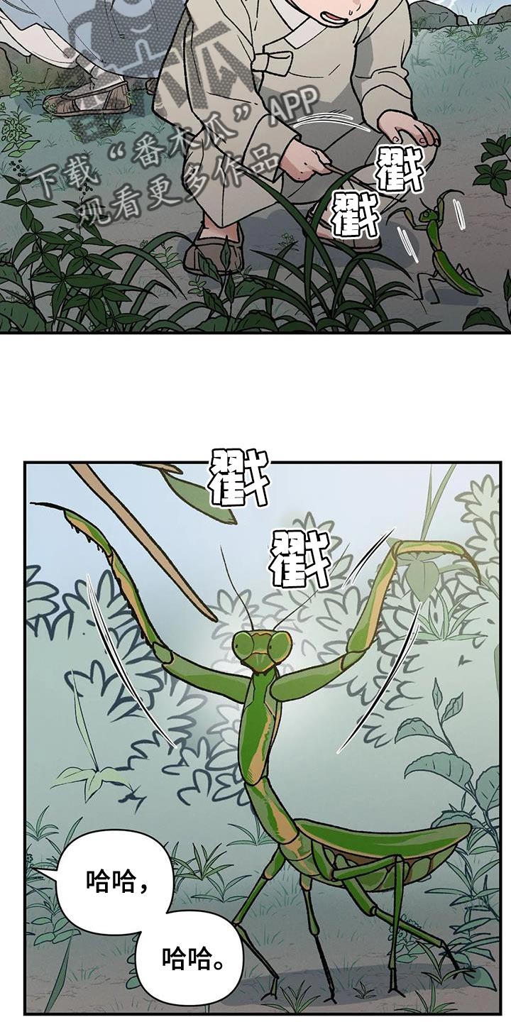 第53章：我来带路3