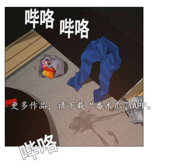 第65章：怀孕2