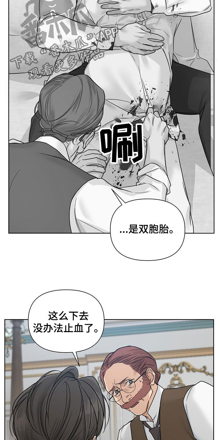 第48章：双胞胎2