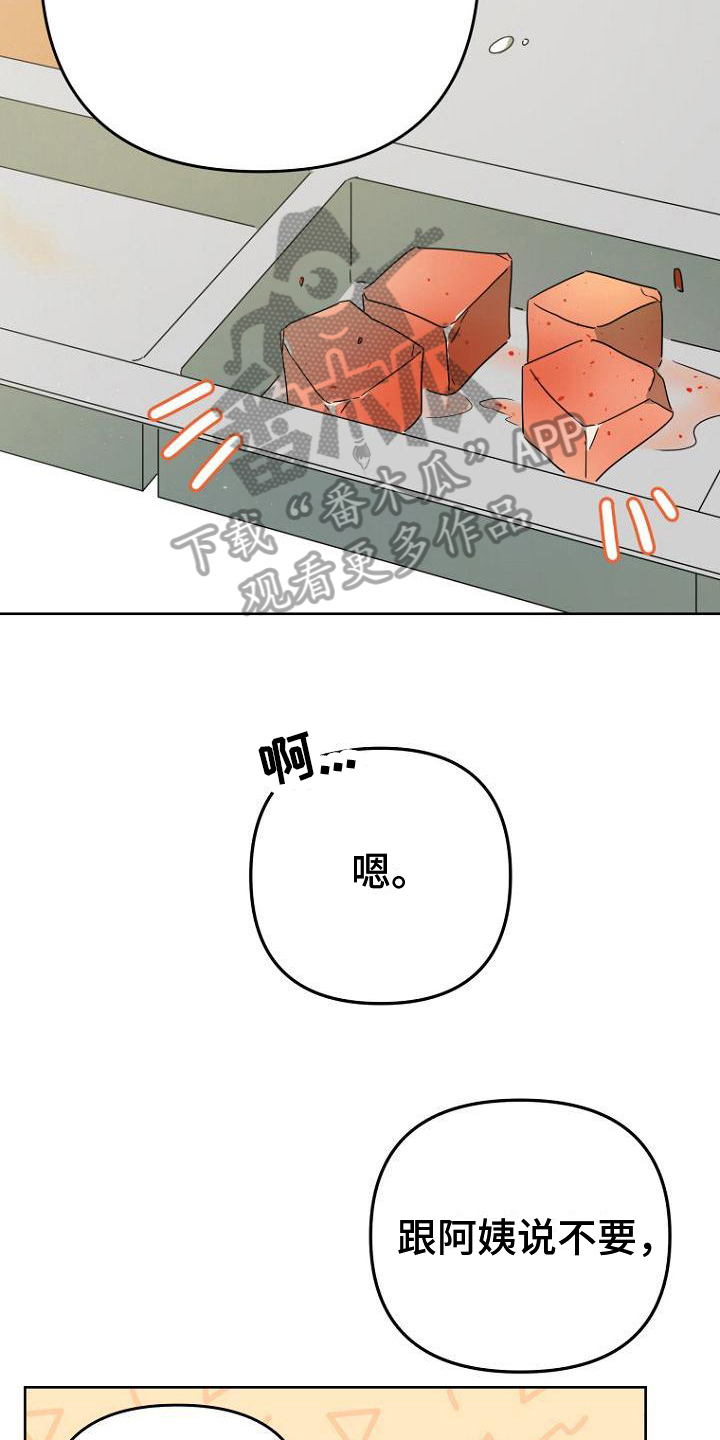 第30章：明显2