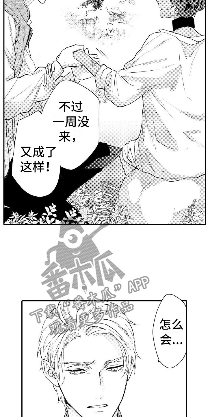 第17章：温柔的人1