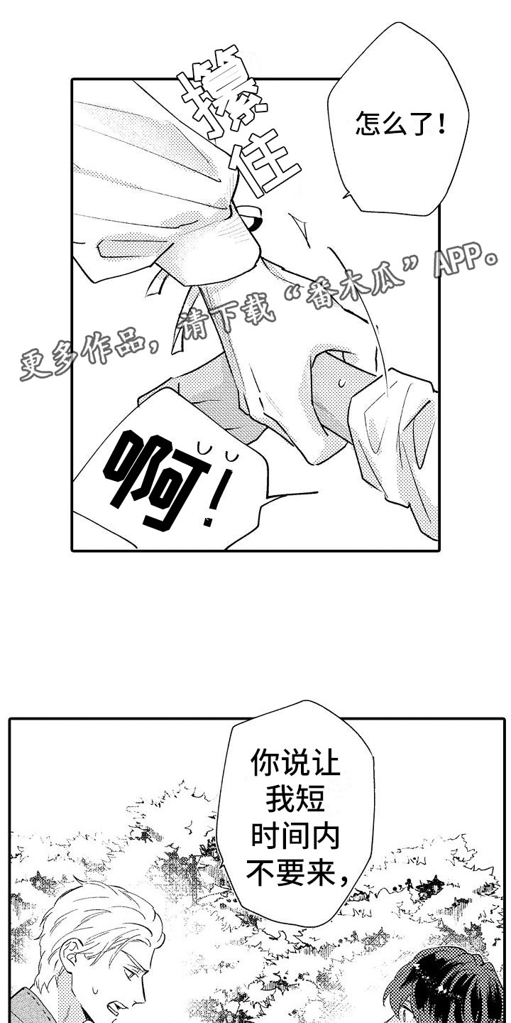 第17章：温柔的人0