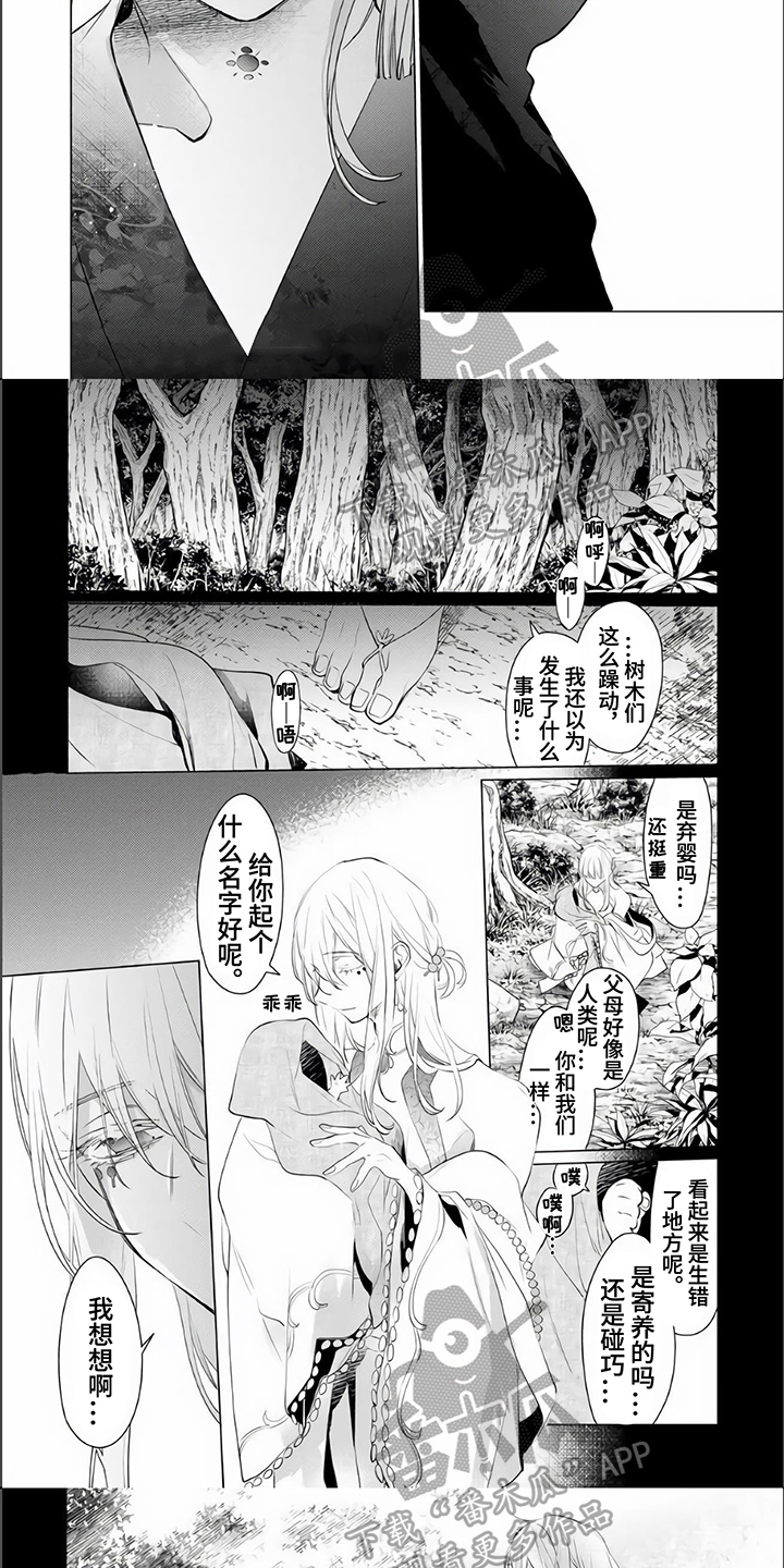 第14章：赶走4
