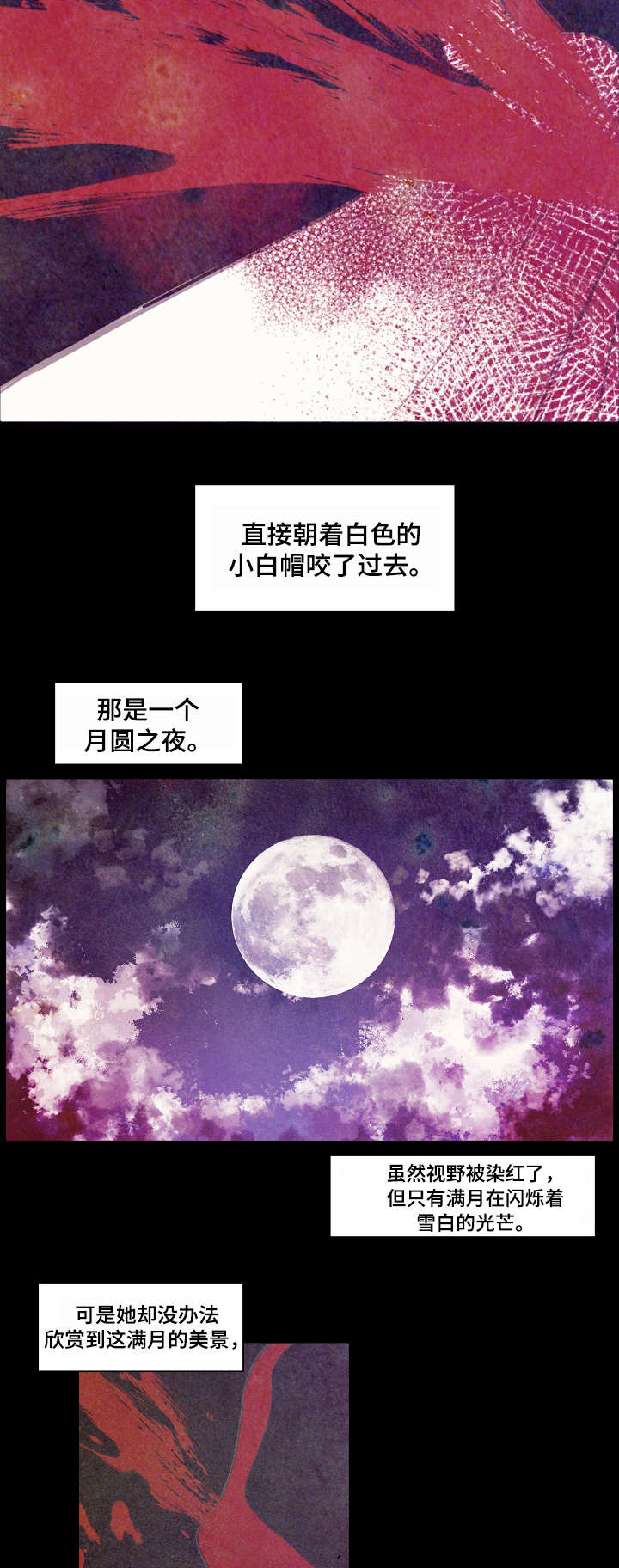 第1章：小白帽3