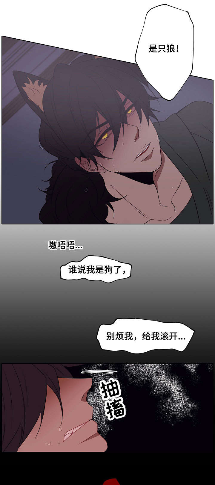 第2章：是只狼0
