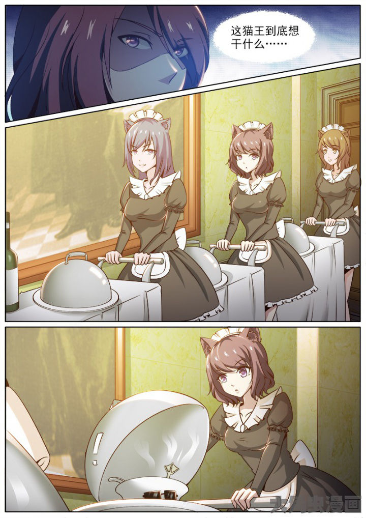 第214章：3