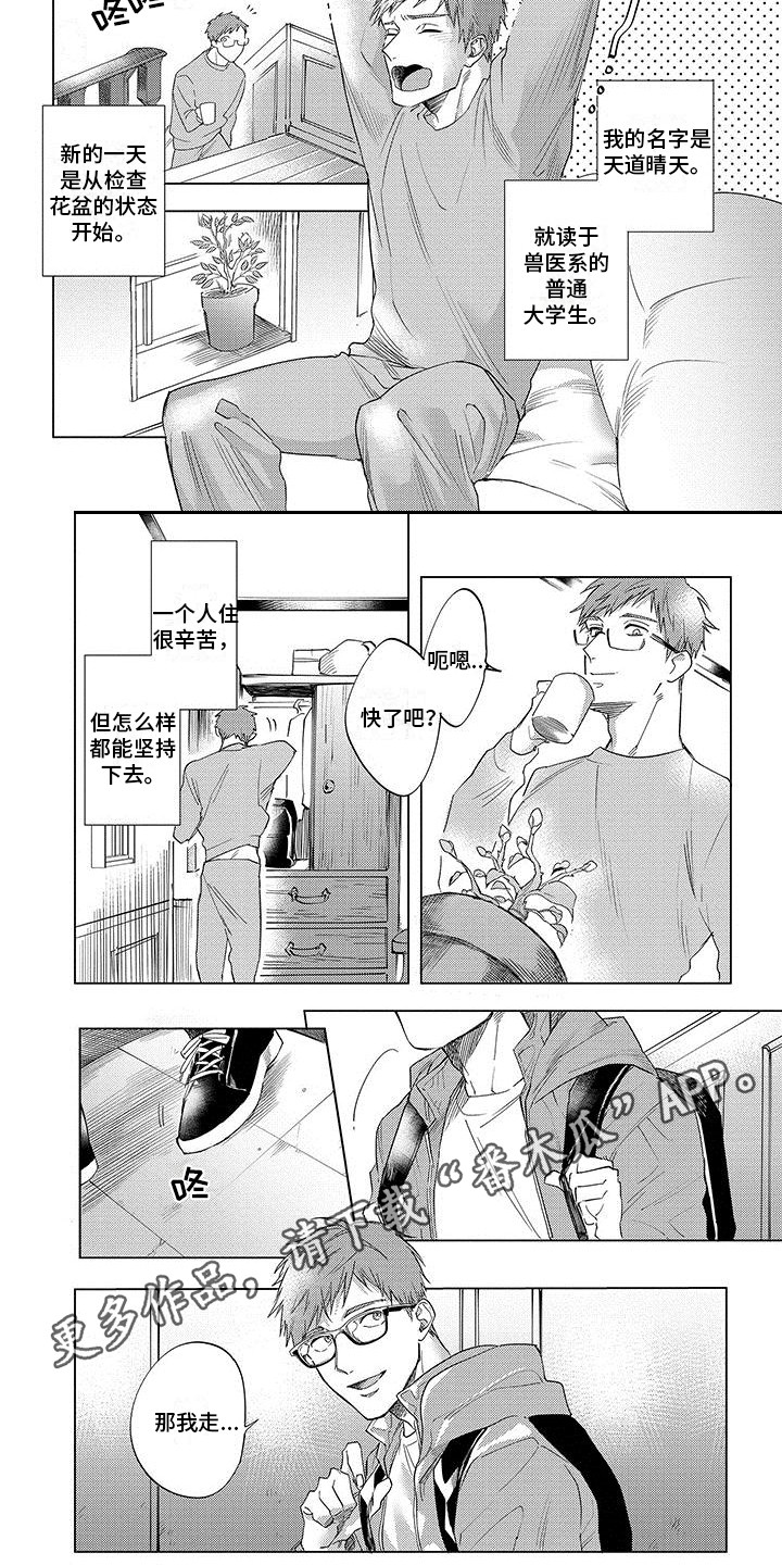第17章：契约4