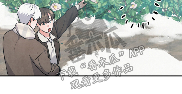 第64章：山茶花2