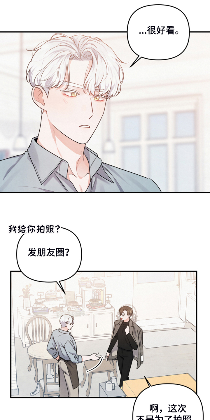 第17章：衬衫的价钱1