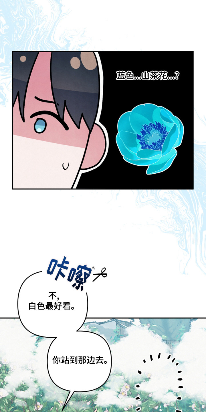 第64章：山茶花1