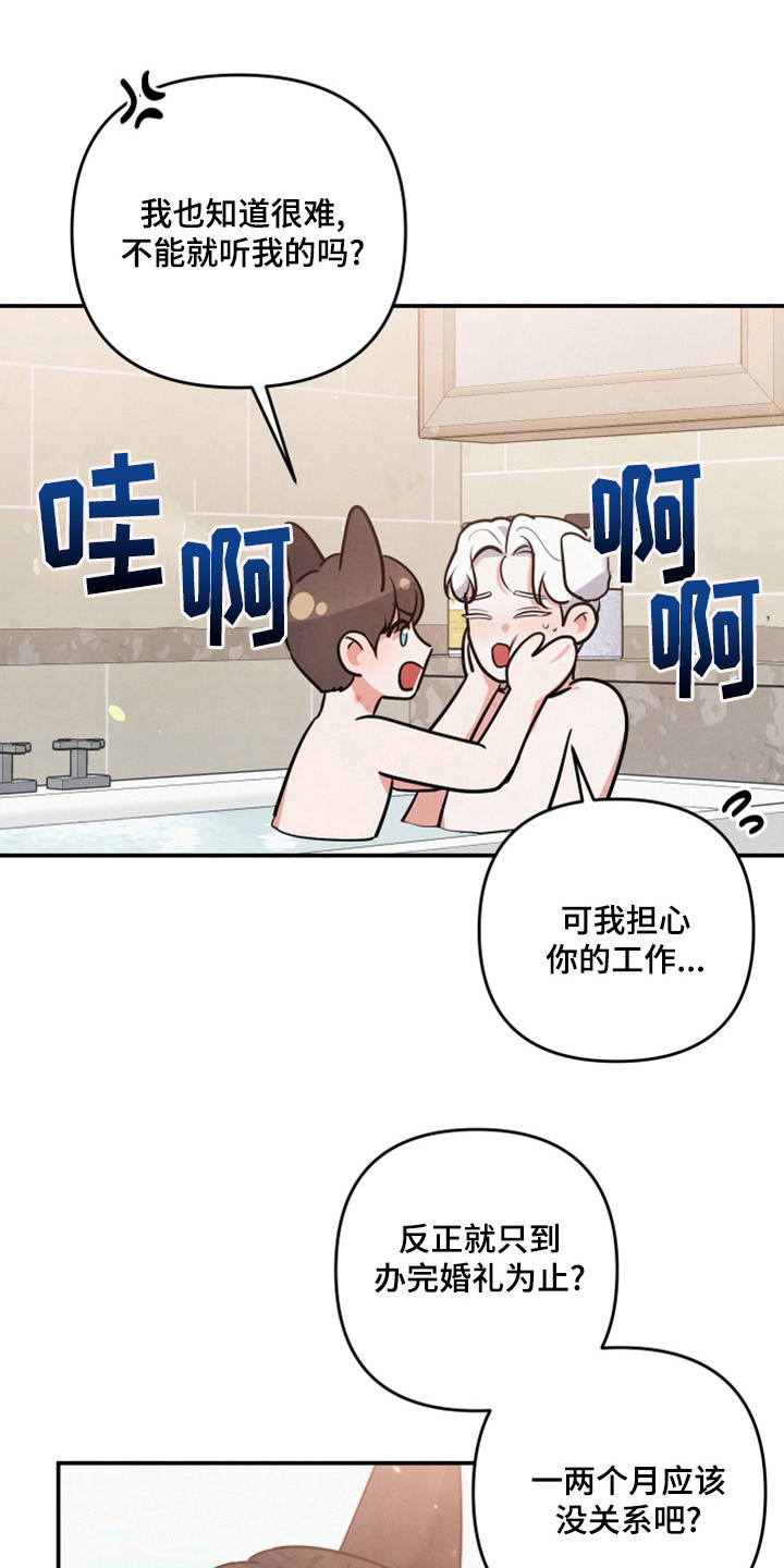 第64章：山茶花0