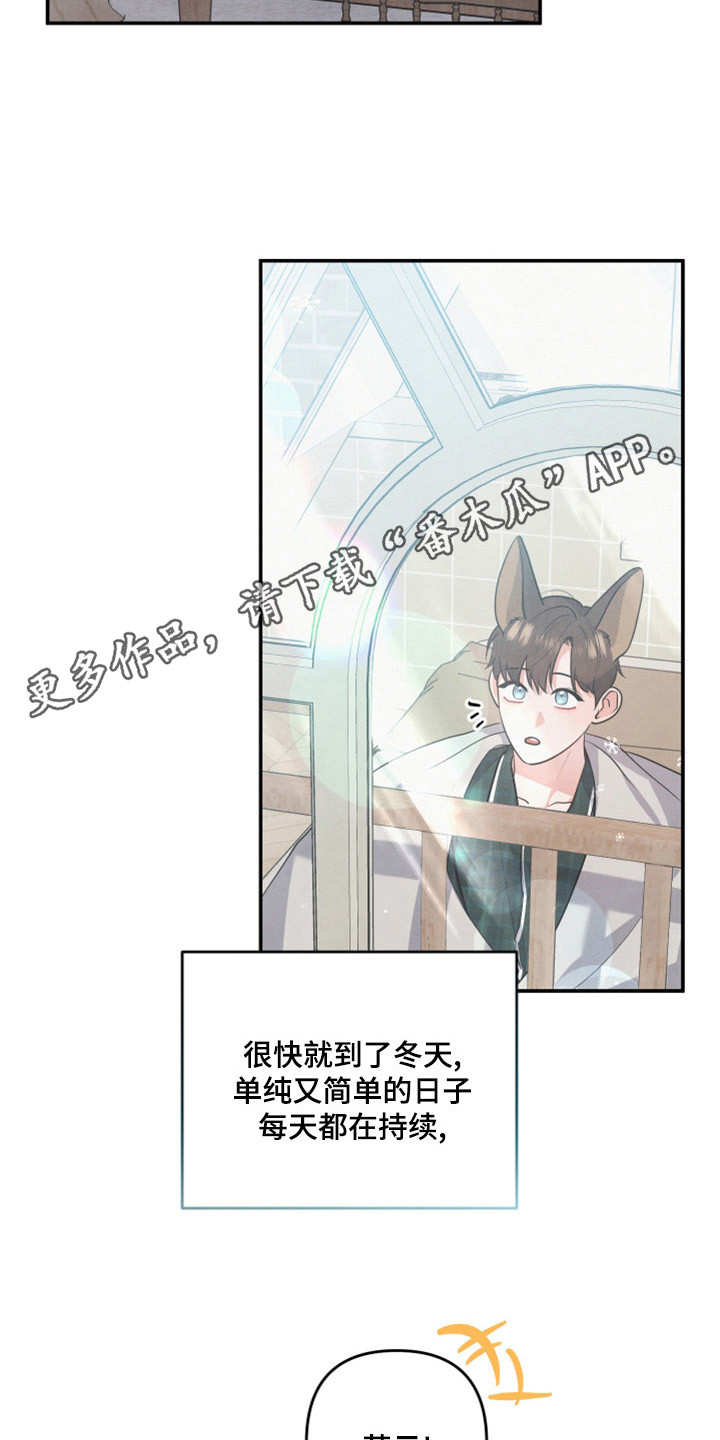 第64章：山茶花4