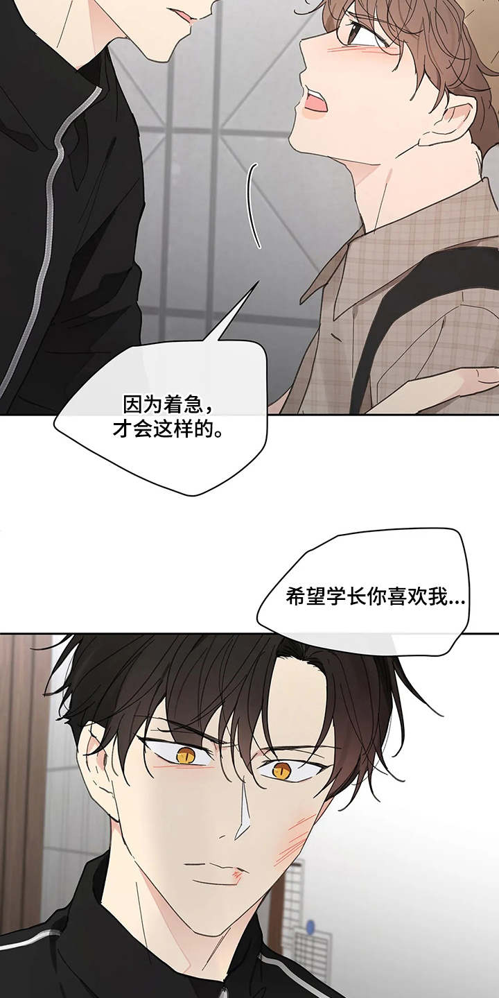 第142章：【番外】想要挽回1