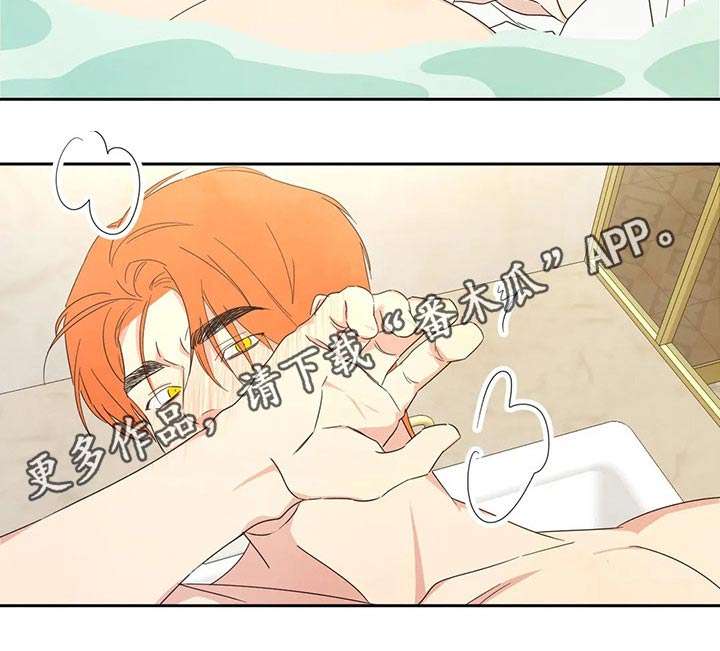 第47章：依据1