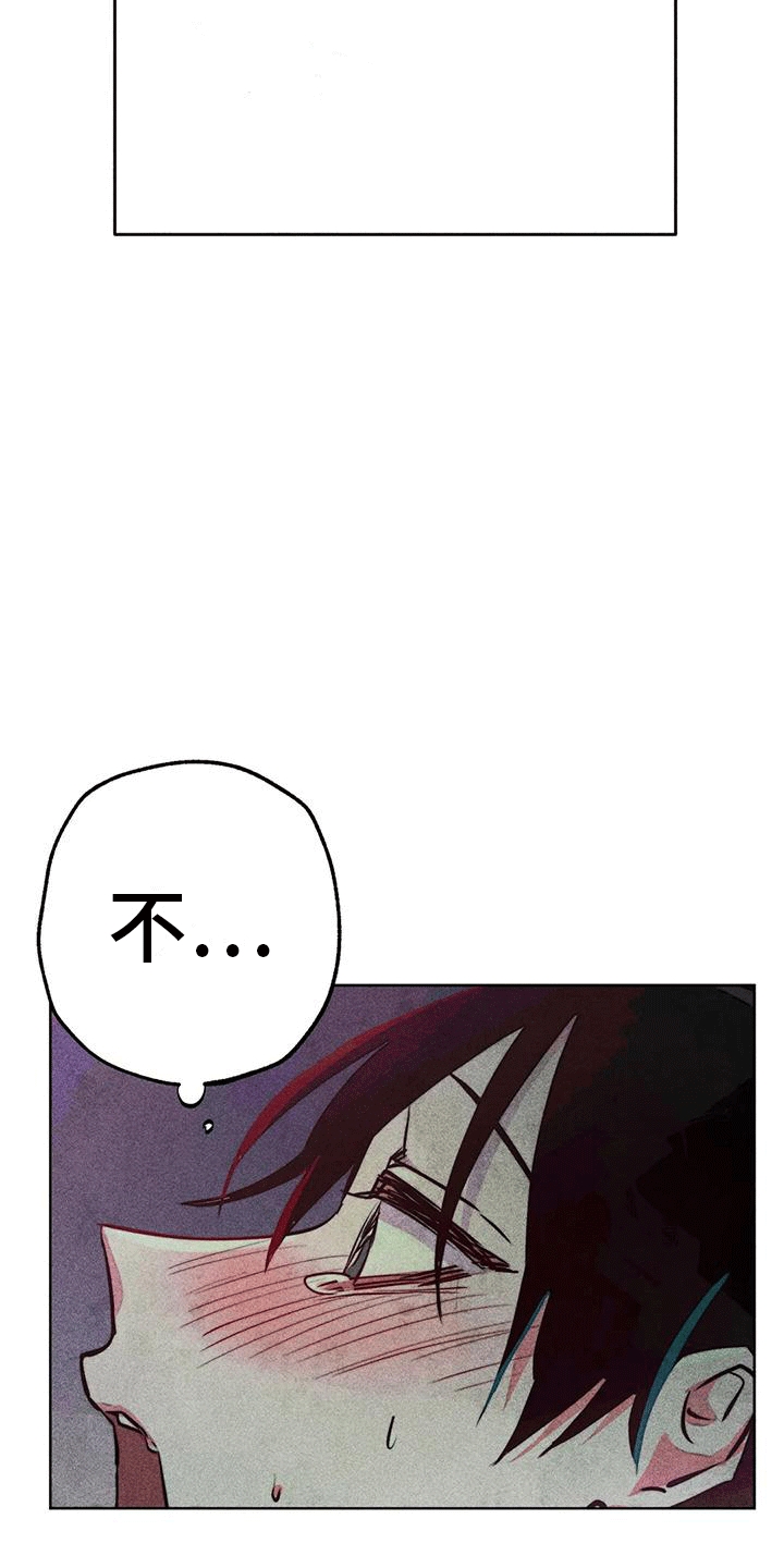 第45章：庭院4